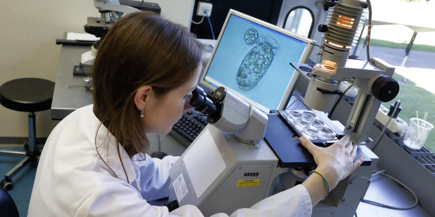 Virginie Raimbault, technicienne au sein du laboratoire PHYSALG dans l'unité PHYTOX, étudie la microalgue toxique Dinophysis